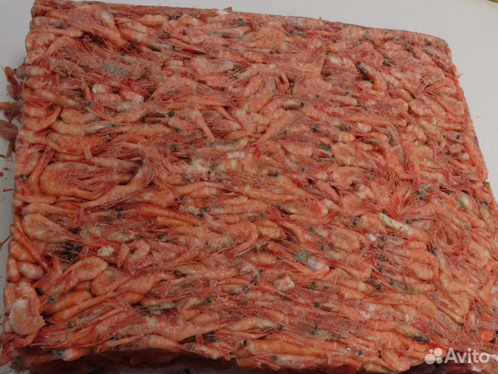 Креветка Северная с/м 230+