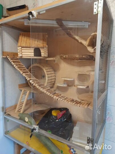 Витрина для грызунов