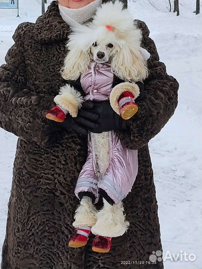 Рюкзак переноска,пеленки для щенков