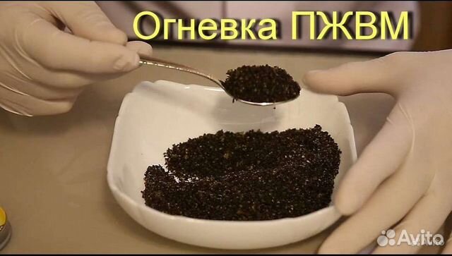 Огнёвка, пжвм