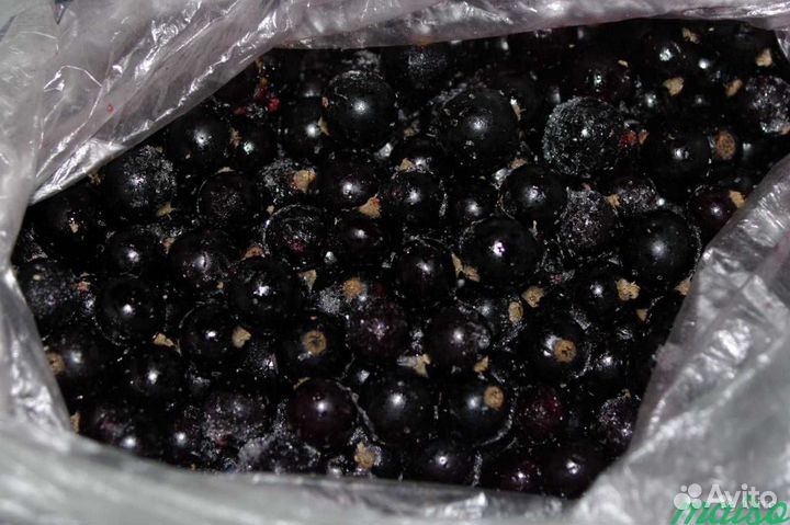 Продам замороженную черную и красную смородину
