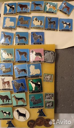 Знаки и значки СССР животные, зоопарк, заповедник