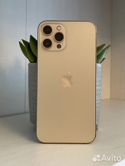 iPhone 12 Pro Max, 256 ГБ