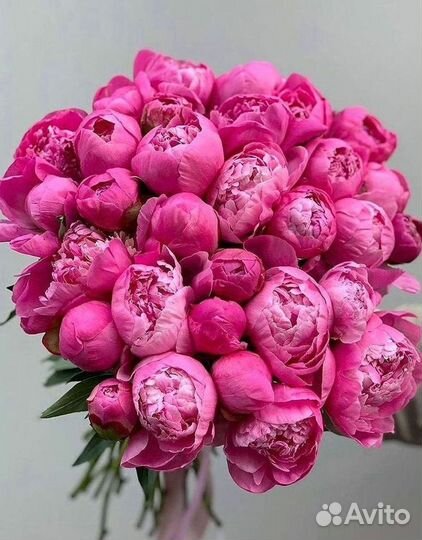 Пионы Букет пионов