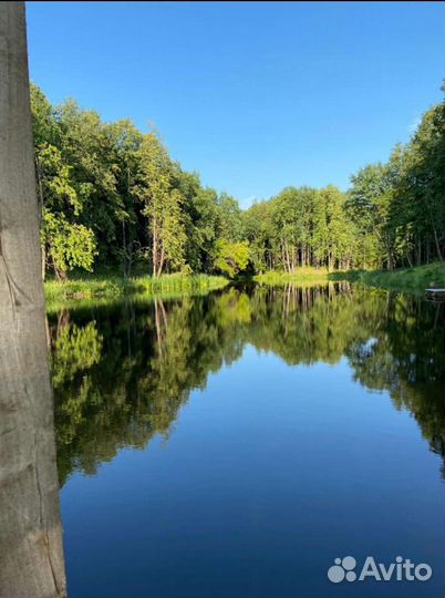 Платная рыбалка