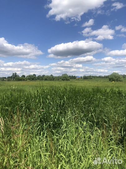 Помощь в оформлении земельного участка