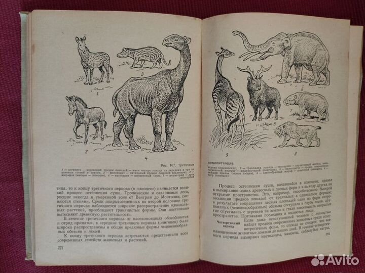 Общая биология. Пособие для учителя