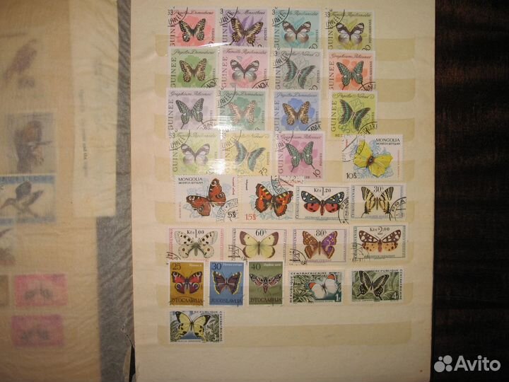 Почтовые марки (зарубежные) - бабочки