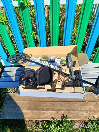Minelab equinox 800