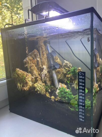Аквариум куб