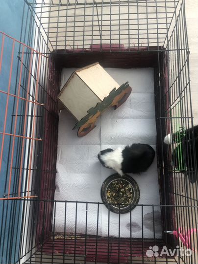 Клетка для грызунов и кроликов