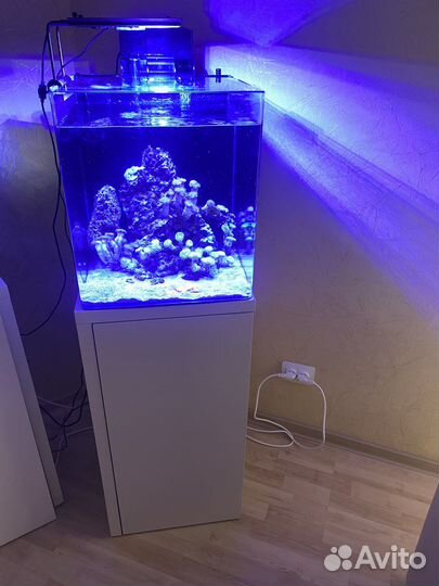Морской аквариум Dennerle 60 литров с тумбой