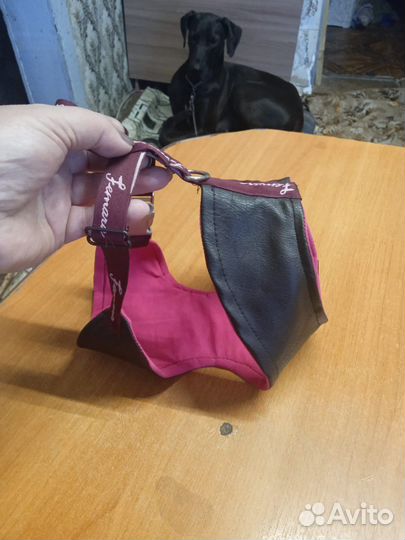 Шлейка для маленькой собаки