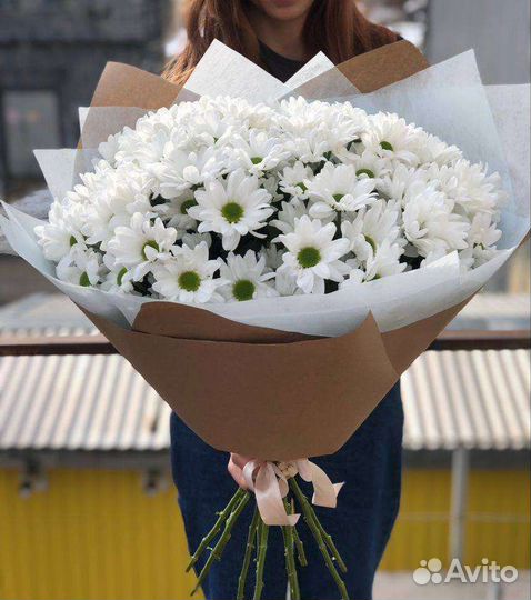 Хризантема белая Кустовые Хризантемы