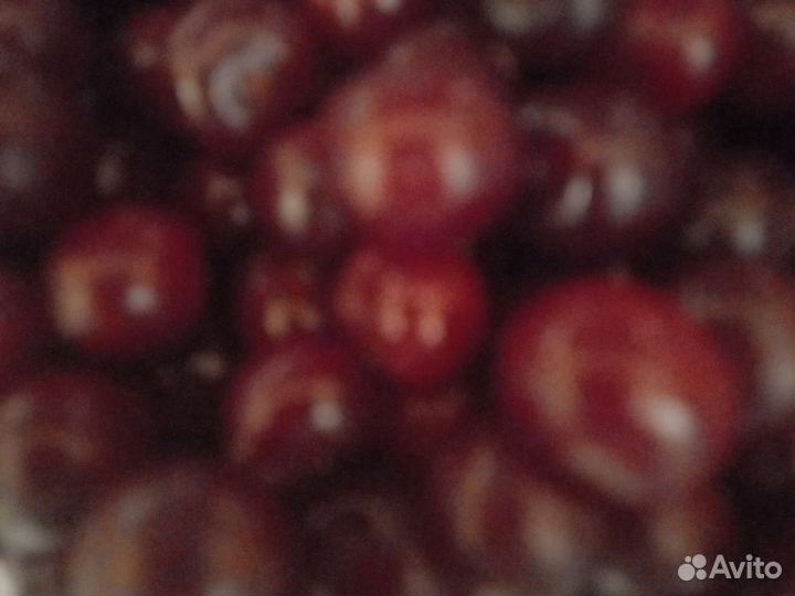 Вишня ягода свежая