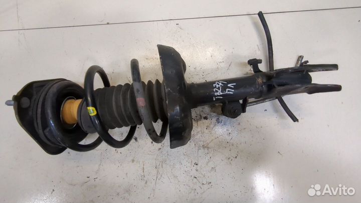 Амортизатор подвески Lexus UX, 2021