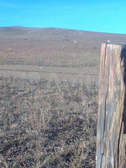 Участок 15 сот. (ИЖС)