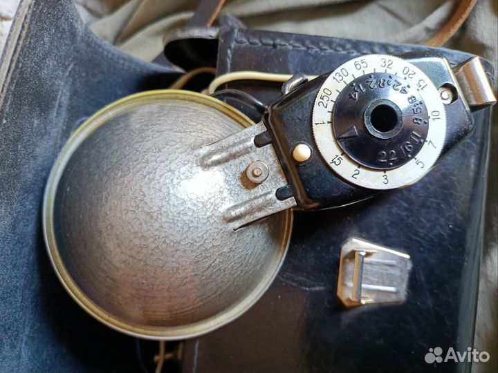 Фотовспышка чайка