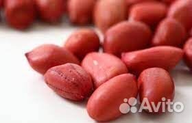 Арахис сырой Узбекистан