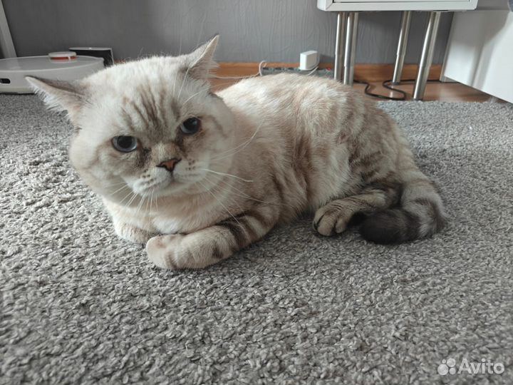 Вязка