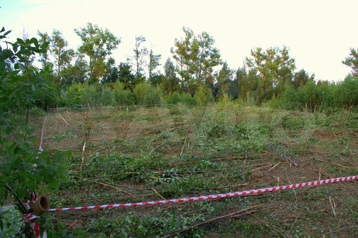 Участок 12 сот. (СНТ, ДНП)