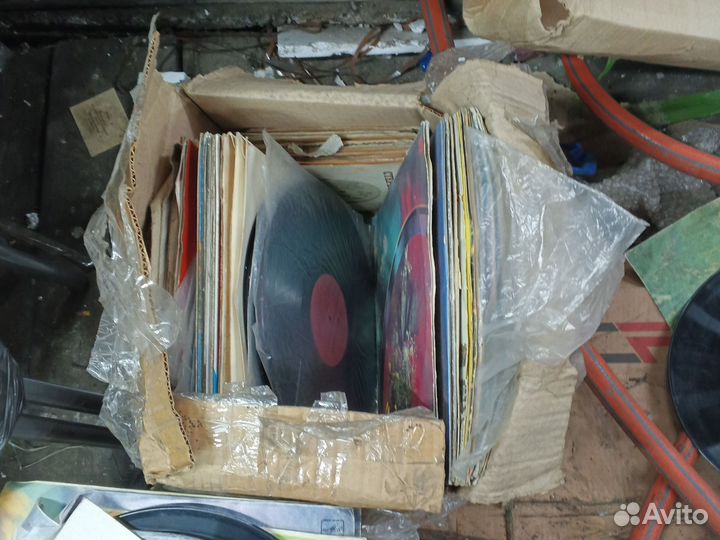 Виниловые пластинки