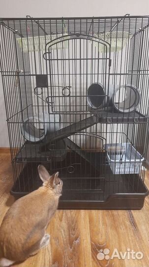 Клетка Triol для шиншил, крыс, дегу