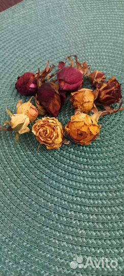 Бутоны роз. Сухоцвет. Творчество