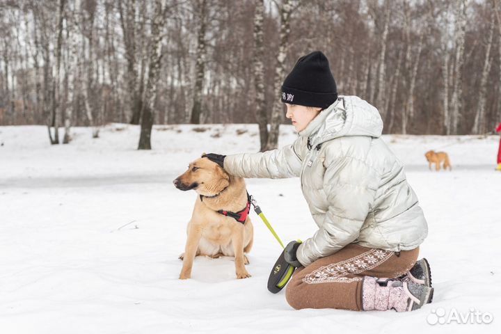 Ялта ждет друга