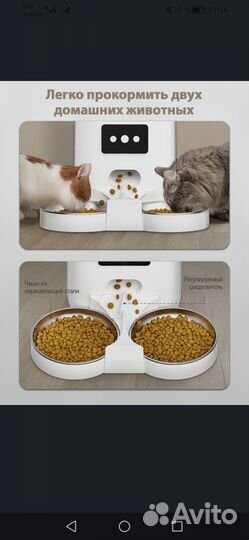 Автоматическая кормушка для кошек