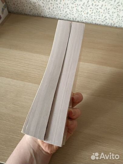 Д. Карризи Подсказчик, Теория зла