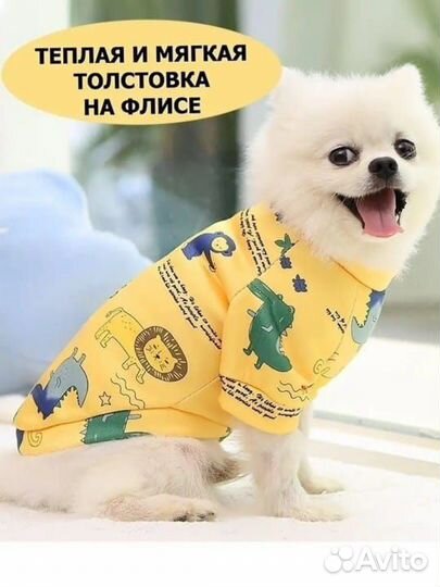 Одежда для собак мелких пород пакетом