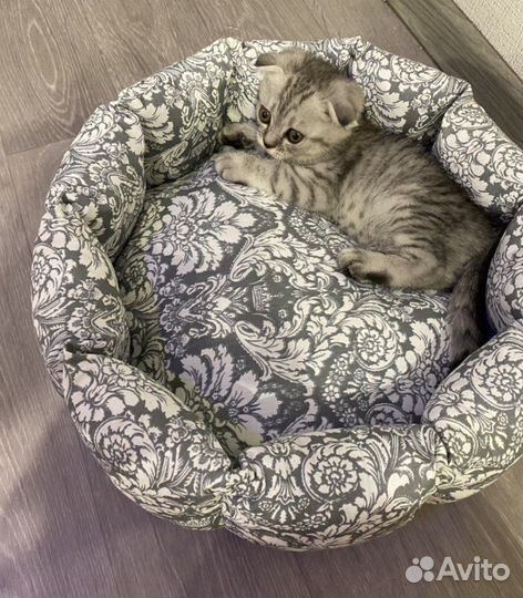 Лежанка для кошки/собаки