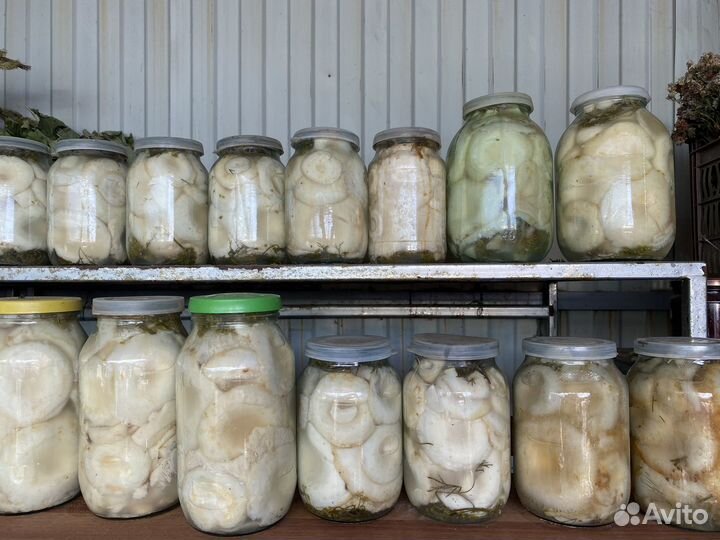 Грузди соленые