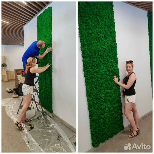 Панели картины, стены, перегородки из мха ягель от