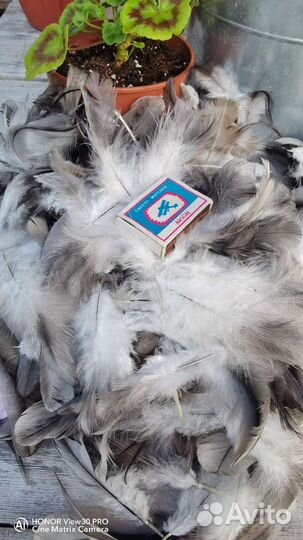 Перья для творчества