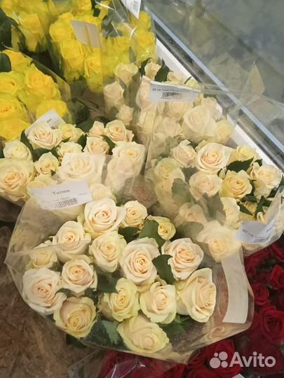 Букет 101 роза