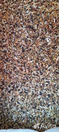 Корм для лесных птиц и канареек