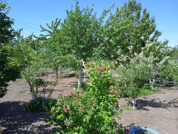 Дача 25 м² на участке 6,6 сот.