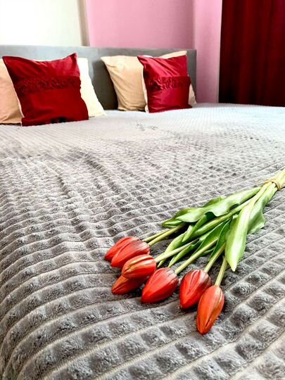 Квартира-студия, 24 м², 1/24 эт.