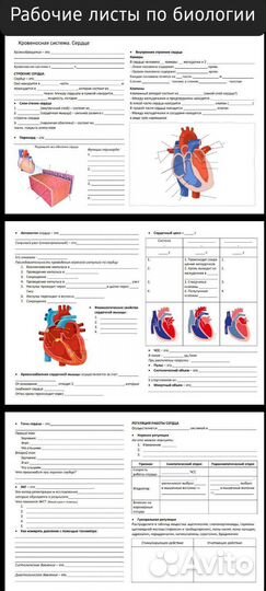 Репетитор по химии и биологии