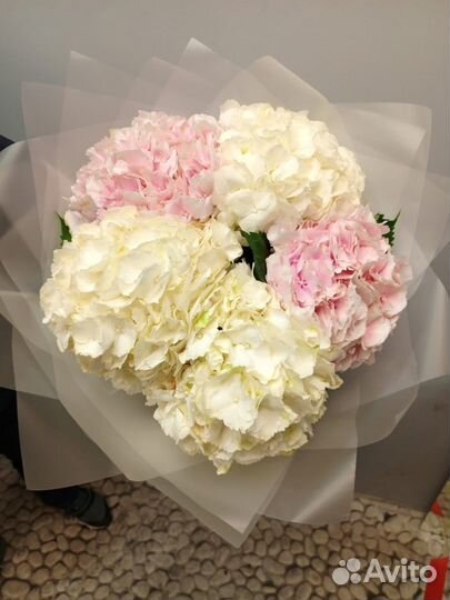 Цветы букеты с доставкой розы 51 роза