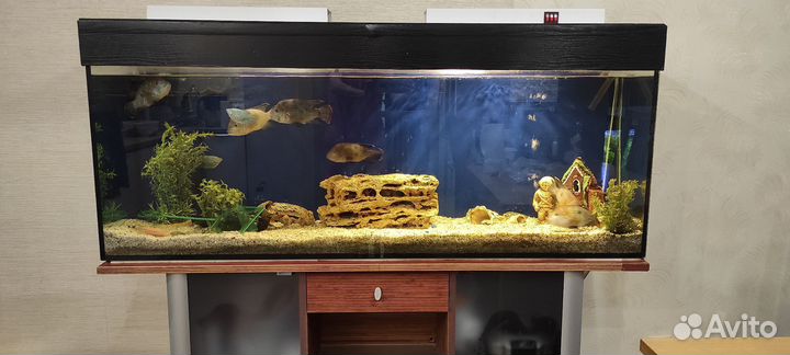 Аквариум 270 л с тумбой