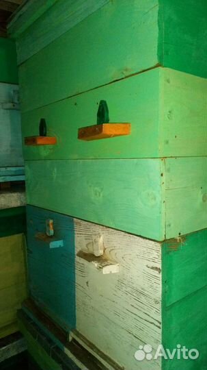 Ульи для пчел