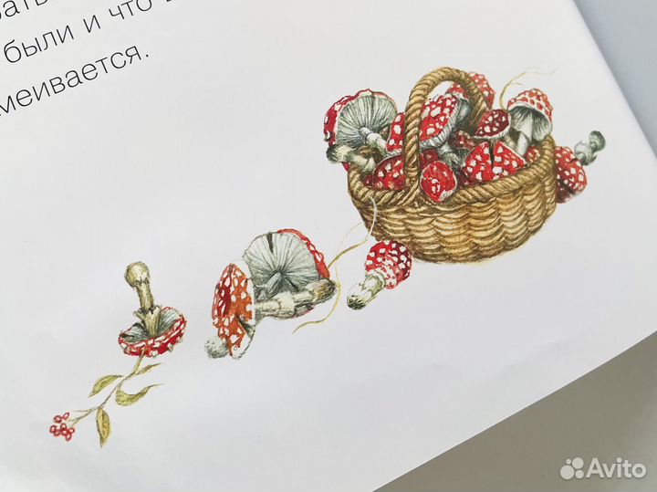 Книга Сивка Бурка. Русская народная сказка