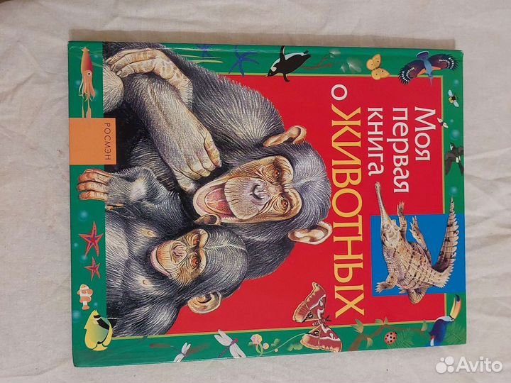 Детские книги о природе формат А4