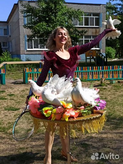 Шоу дрессированных животных и аниматоры