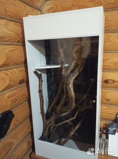 Большой вертикальный террариум