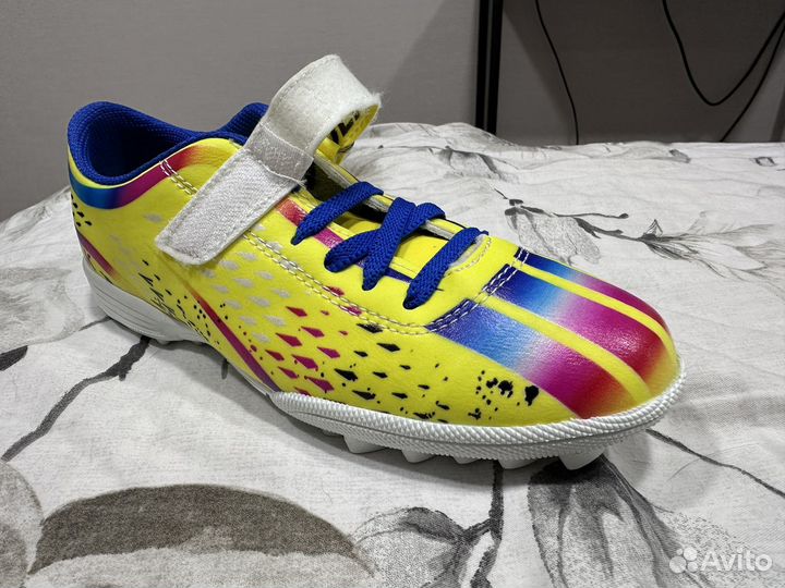 Сороконожки