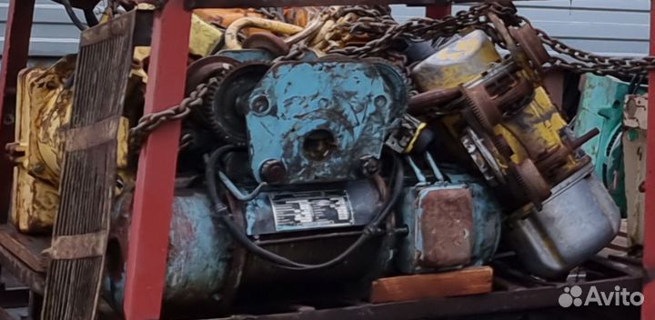 Тельфер болгарский